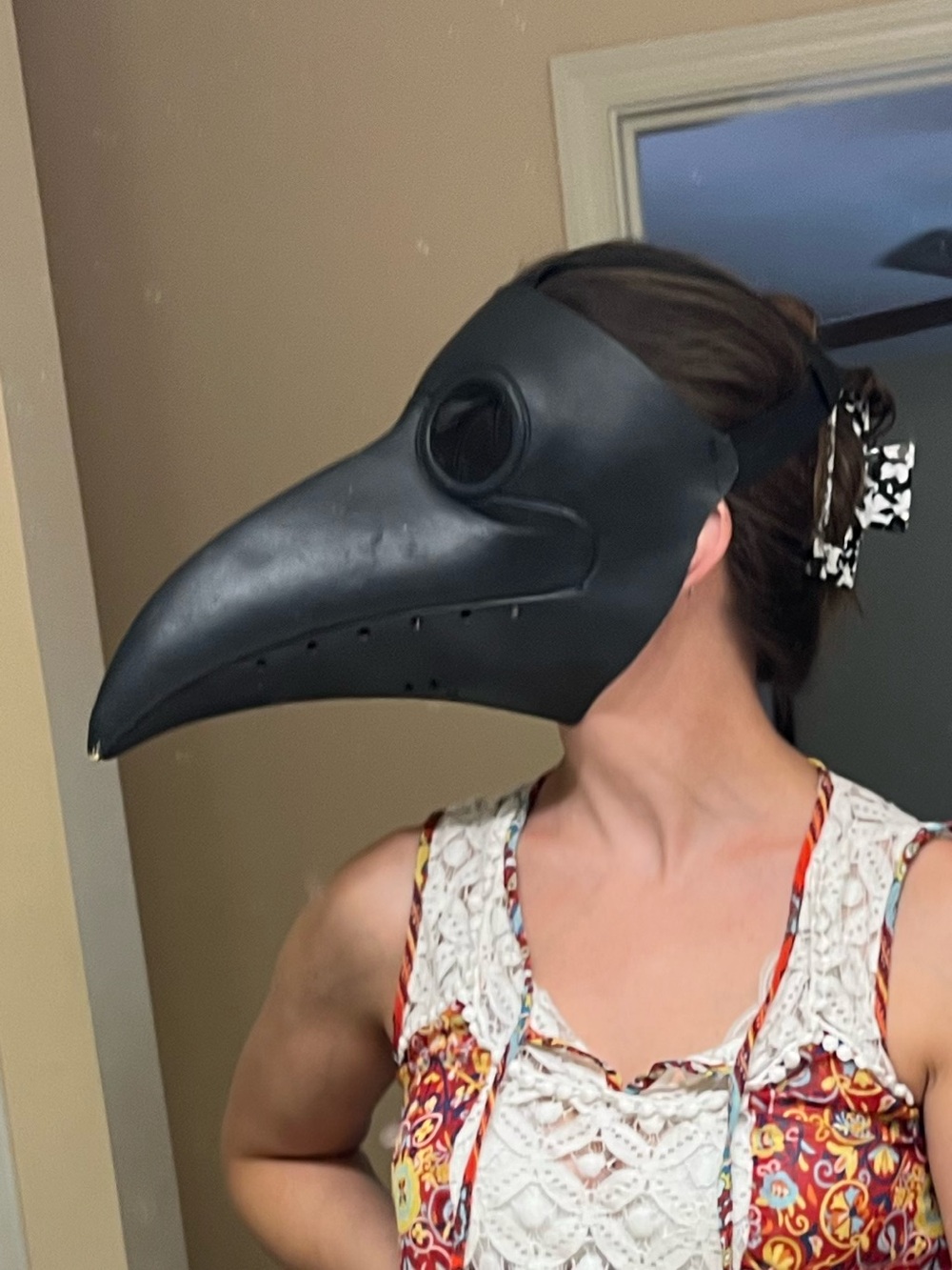 Halloween Plague Doctor Bird Mask Black